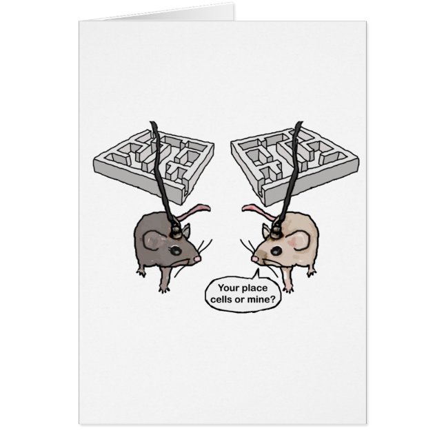 Your Place (Cells) or Mine? (Front)