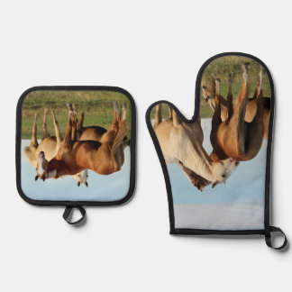 Your scratch my back, I'll scratch yours. Horses Oven Mitt & Pot Holder Set