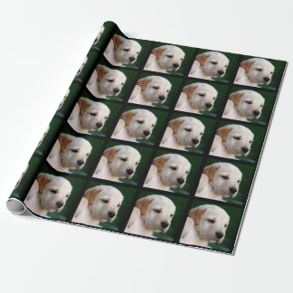 Your Square Photo Replaces Yellow Lab Puppy Wrapping Paper