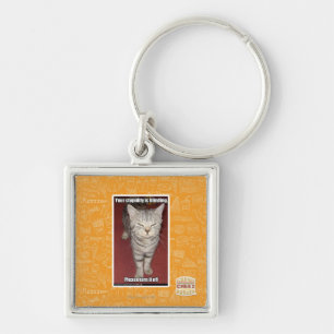 Your stupidity is blinding 2 key ring
