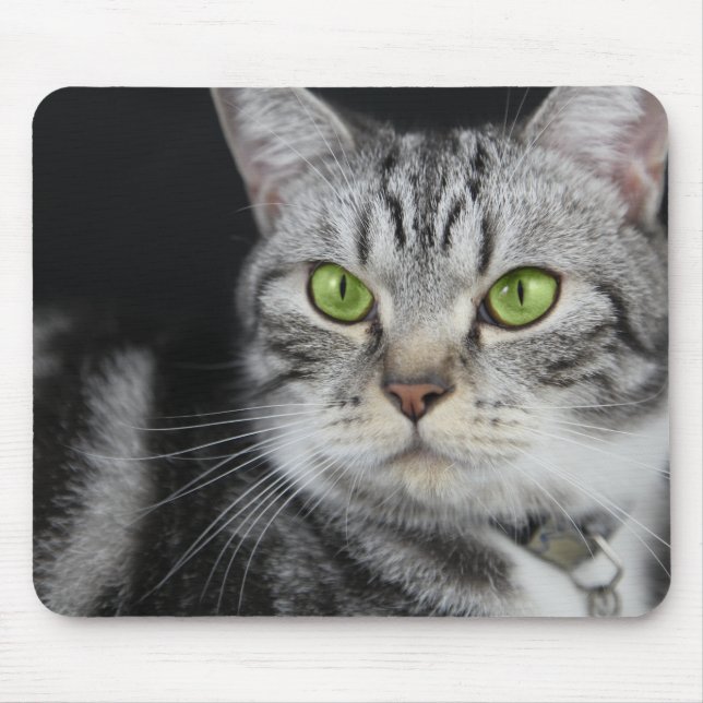 Your Sweet Cat Photo Custom Mouse Mat (Front)