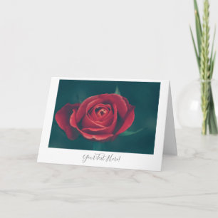 Your Text Gorgeous Red Rose Flower Greeting Card