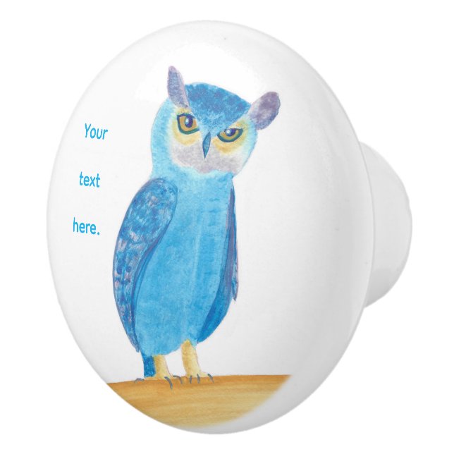 Your text on Cute Blue Owl Knobs (Right)