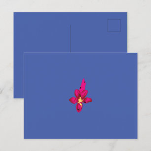 Your Vacation in Your Pocket Postcard
