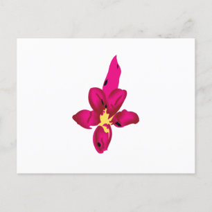 Your Vacation in Your Pocket Postcard