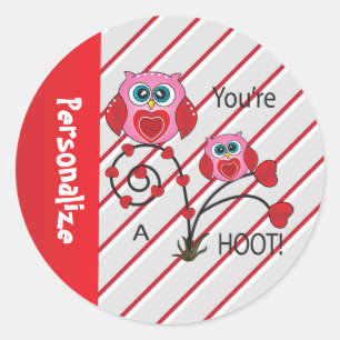 You're a Hoot Valentine Owl Classic Round Sticker