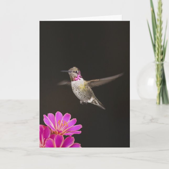 YOU'RE A HUMMER BIRTHDAY CARD (Front)