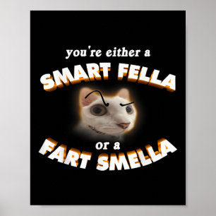 Youre A Smart Fella Or A Fart Smella Meme Cat Poster