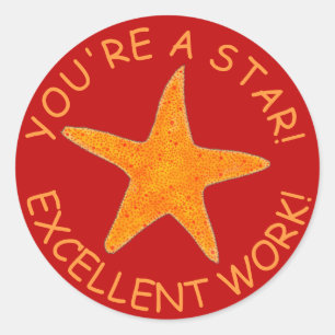 You're A Star Good Work Starfish Teacher Reward Classic Round Sticker