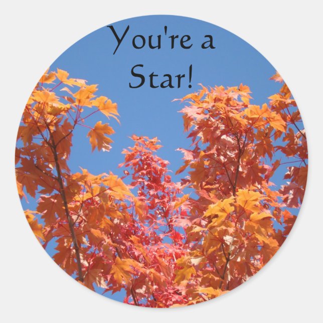 You're a Star! stickers Fall Tree Leaves Blue Sky (Front)