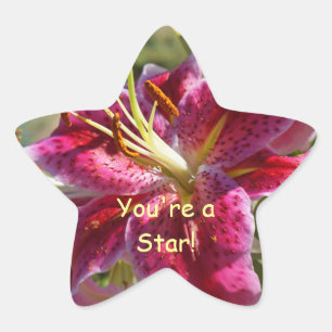 You're a Star stickers Star Shape Pink Lilies