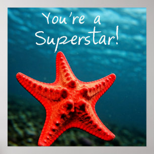 You're a Superstar! Poster