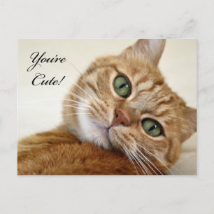 You're Cute! Postcard