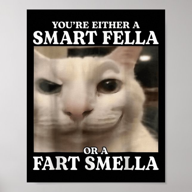 You're Either A Smart Fella Or A Fart Smella Cat F Poster (Front)