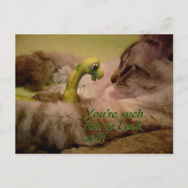 You're fun to look at Postcard (Front)