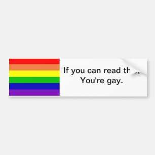 You're Gay Bumper Sticker