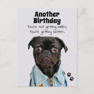 You're Getting Better Pug Dog Birthday Postcard