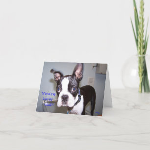 You're How Old?! Card