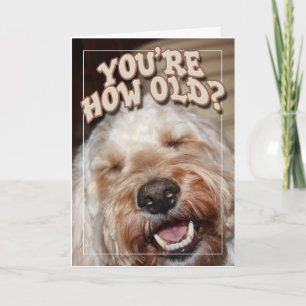 You're How Old? Card