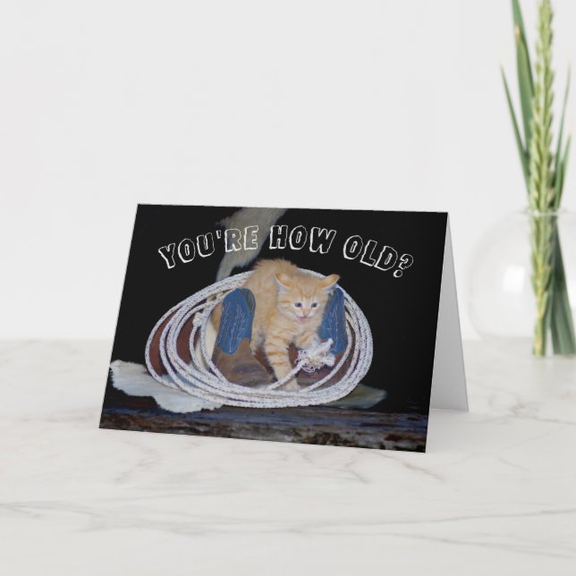 You're How Old? Funny Cat Birthday card (Front)
