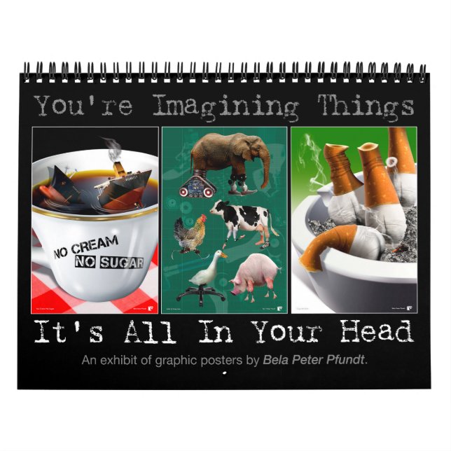You're Imagining Things. It's All In Your Head. Calendar (Cover)