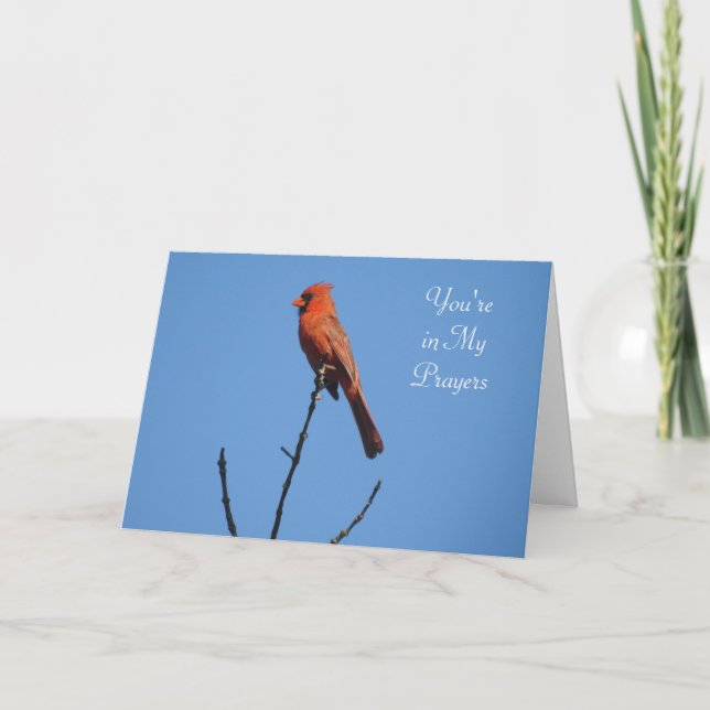 You're in My Prayers | Cardinal Photography Card (Front)