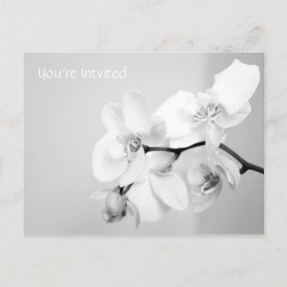 You're Intvited Postcard