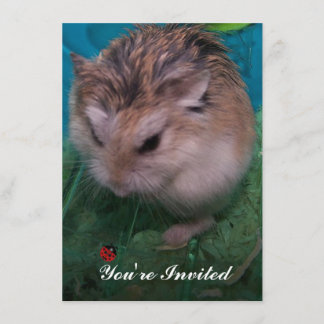 You're Invited Invitation