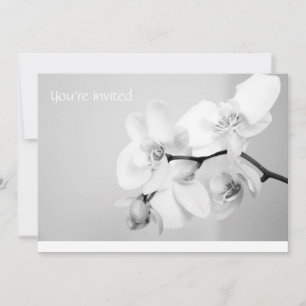 You're invited invitation