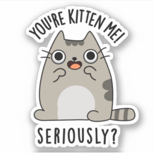 You're Kitten Me Seriously Funny Cat Pun 