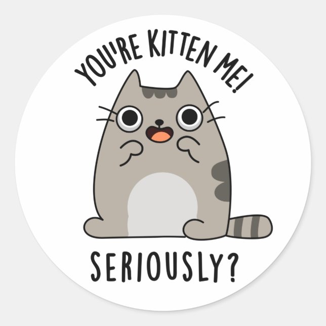 You're Kitten Me Seriously Funny Cat Pun  Classic Round Sticker (Front)