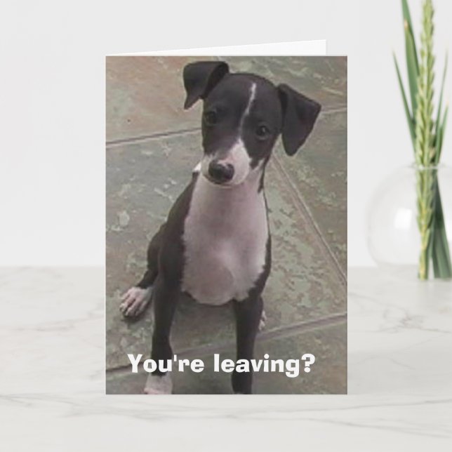 You're leaving? card (Front)