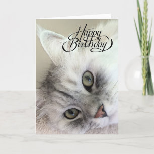 You're Meowvelous Birthday Card