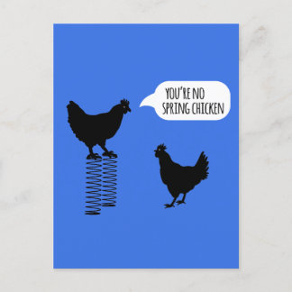 You're No Spring Chicken Chickens Postcard