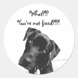You're not fixed classic round sticker