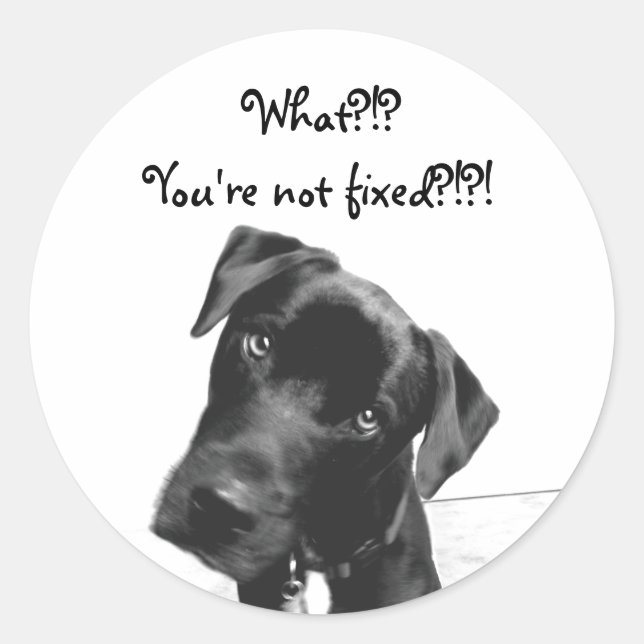 You're not fixed classic round sticker (Front)