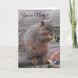 You're Nutty and I Like It   Funny Squirrel Pic Card