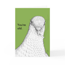You're Old Funny Old Age Humour Birthday Card