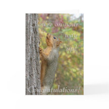 You're on your way up