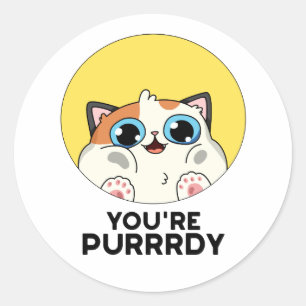 You're Purrrdy Funny Cat Pun Classic Round Sticker