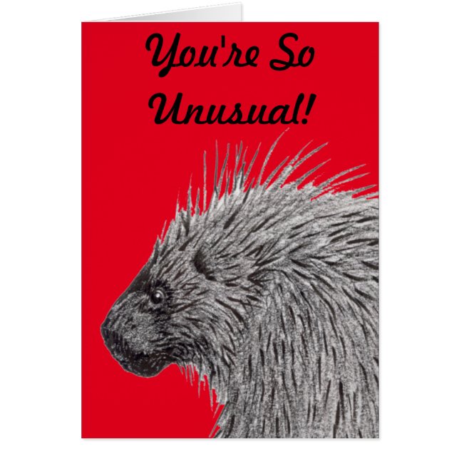 You're So Unusual Porcupine (Front)