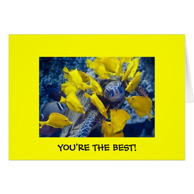You're the Best! (Front Horizontal)