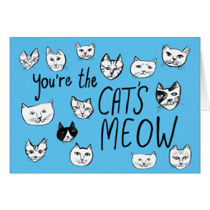 YOU'RE THE CAT'S MEOW Cute Kittens Love Blue