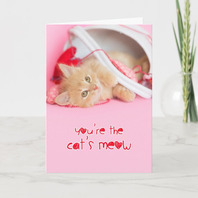 Youre the cats meow kitten valentine holiday card (Front)
