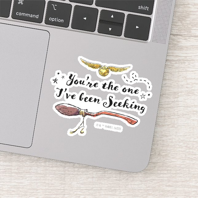 You're The One I've Been Seeking (Detail)