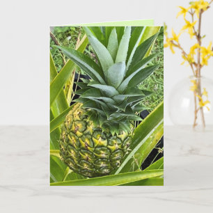 You're the Pineapple of my Eye Greeting Card