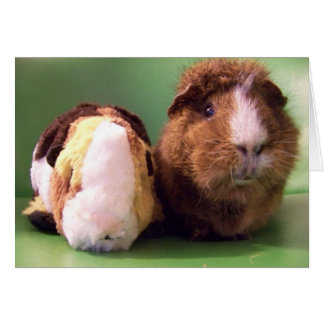 You're the real deal Card