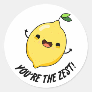 You're The Zest Funny Lemon Pun  Classic Round Sticker