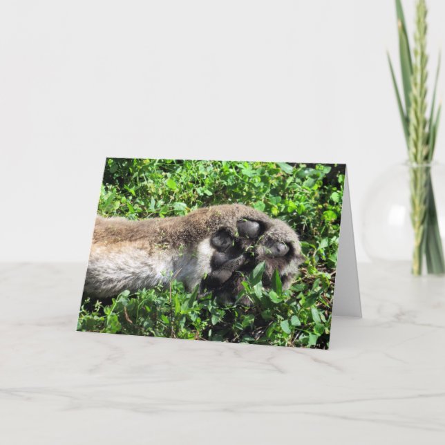 You're Totally Paw-some Thank You Card (Front)