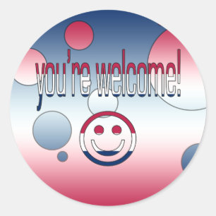 You're Welcome! America Flag Colours Pop Art Classic Round Sticker